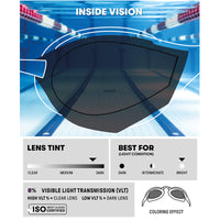 Arena - Cobra Original Swipe Mirror Goggle - Blue/Silver