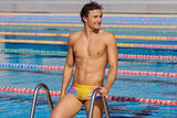 Funky Trunks - Darkinjung Sunset - Mens Eco Sidewinder Trunks