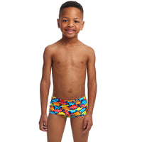 Funky Trunks - Swimmasaurus - Toddler Boys Printed Trunks