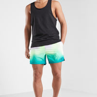 Nike - Aurora Borealis 5" Volley Short (Washed Teal)