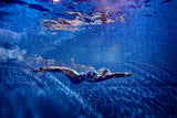 Funkita - Bone Head - Ladies Single Strap One Piece