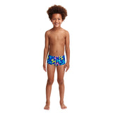 Funky Trunks - Balloon Dog - Toddler Boys Printed Trunks