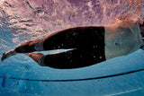 Zone3 - Neoprene Buoyancy Kickpants 5/3mm - Black/Blue